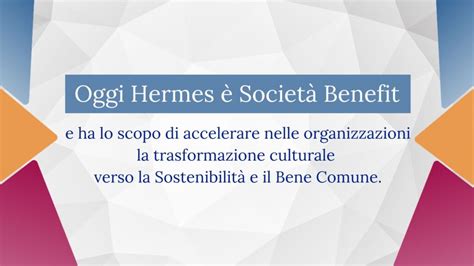 hermes group società controllate|hermes sca governance.